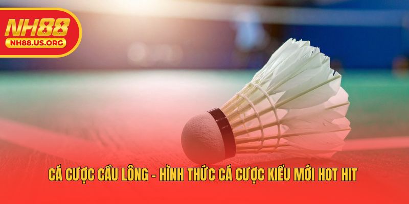 Cá Cược Cầu Lông - Hình Thức Cá Cược Kiểu Mới Hot Hit